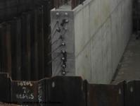 Imagine atasata: Pasajul Jiul - 2017.02.08 - 05.jpg